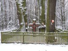 Galeria - Obchody 150 rocznicy Powstania Styczniowego