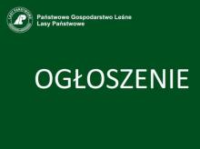 Ogłoszenie o naborze na staż dla absolwentów szkół średnich i wyższych na rok 2025/2026